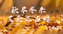【健康/艾灸】秋盡冬來(lái)，艾灸正當(dāng)時(shí)——解鎖季節(jié)交替的養(yǎng)生密碼！